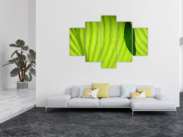 Kép - Zöld levél részlete (150x105 cm)