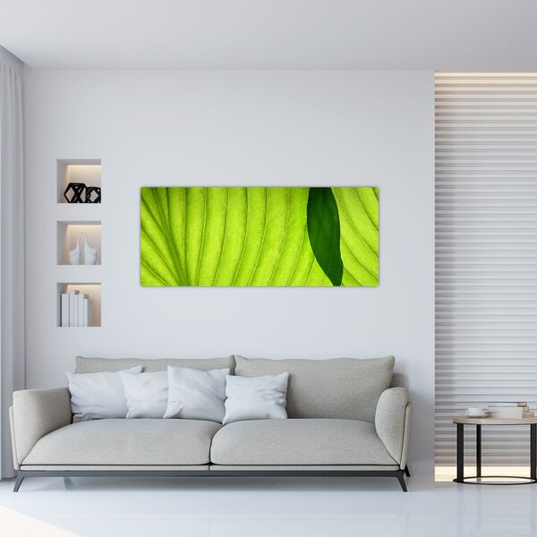 Kép - Zöld levél részlete (120x50 cm)