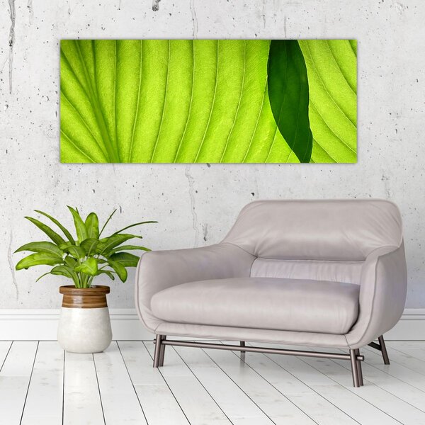 Kép - Zöld levél részlete (120x50 cm)