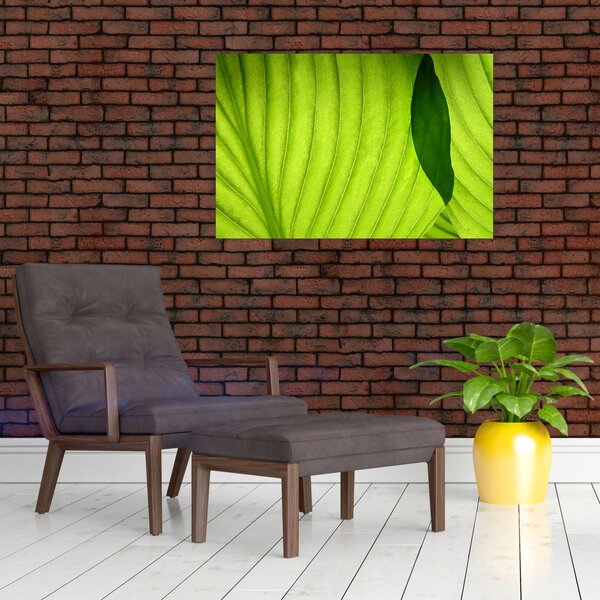 Kép - Zöld levél részlete (90x60 cm)