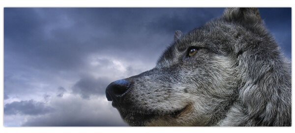 Kép - Farkas feje (120x50 cm)