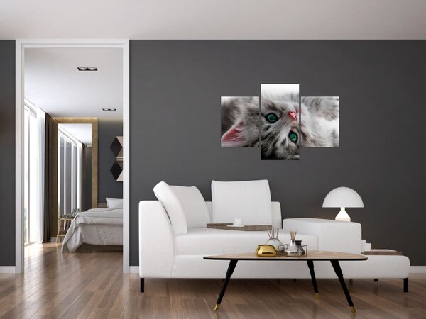 Kép - Macska zöld szemekkel (90x60 cm)
