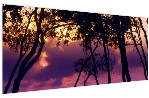 Kép - Fák naplementében (120x50 cm)