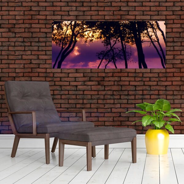 Kép - Fák naplementében (120x50 cm)