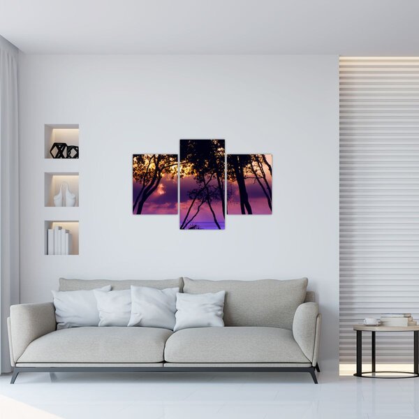 Kép - Fák naplementében (90x60 cm)