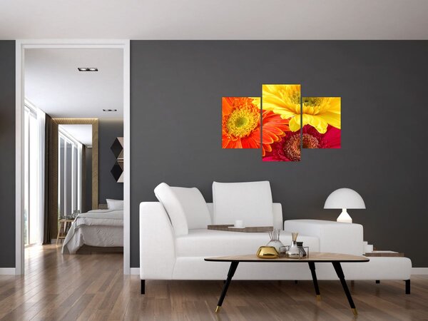 Kép - Virágok Gerbery (90x60 cm)