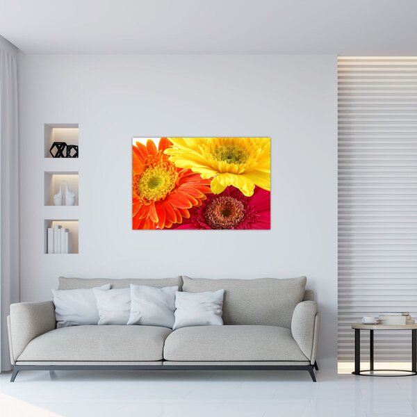 Kép - Virágok Gerbery (90x60 cm)