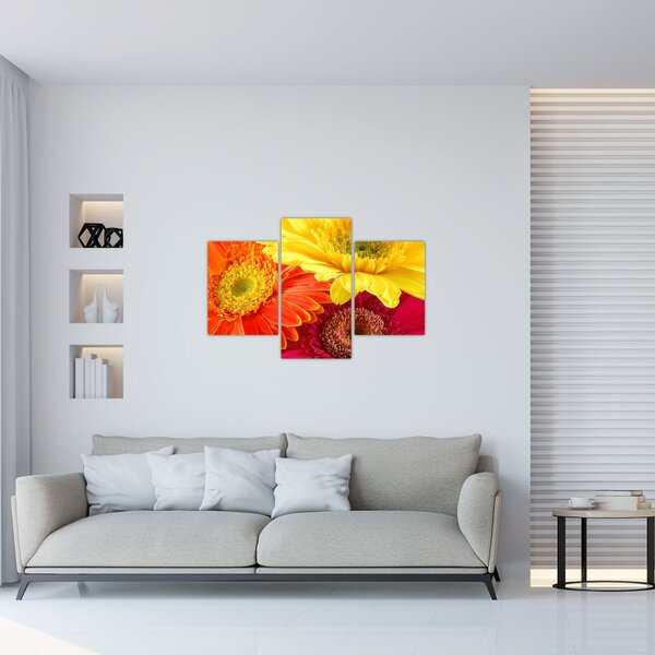 Kép - Virágok Gerbery (90x60 cm)