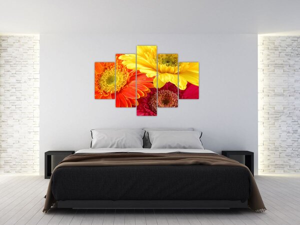Kép - Virágok Gerbery (150x105 cm)