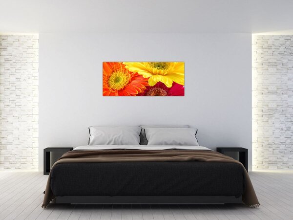 Kép - Virágok Gerbery (120x50 cm)