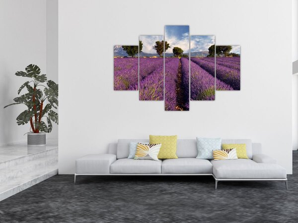 Kép - Levendula mező és hegyek (150x105 cm)