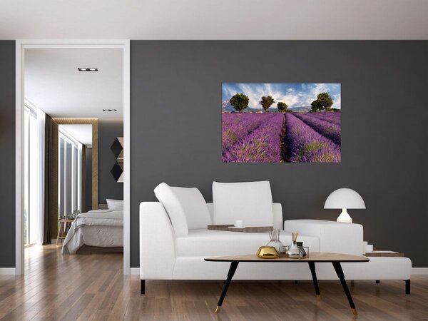 Kép - Levendula mező és hegyek (90x60 cm)