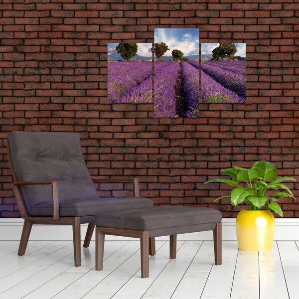 Kép - Levendula mező és hegyek (90x60 cm)