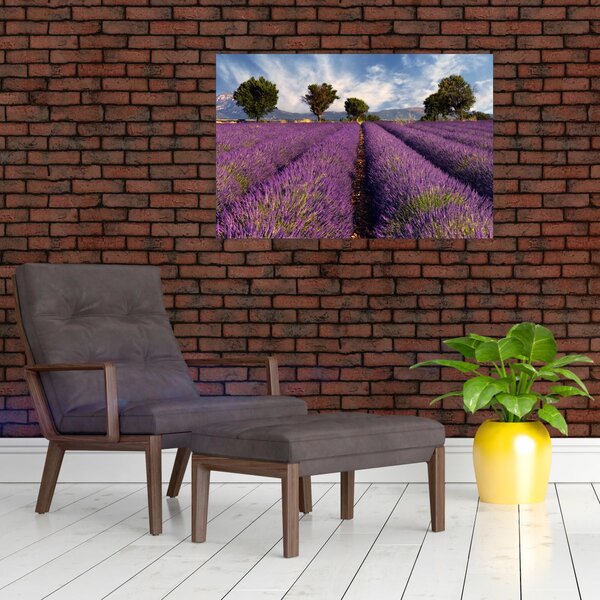 Kép - Levendula mező és hegyek (90x60 cm)
