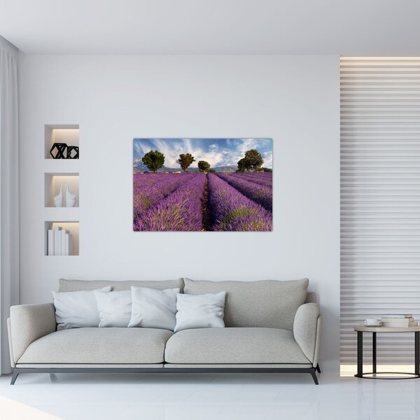 Kép - Levendula mező és hegyek (90x60 cm)