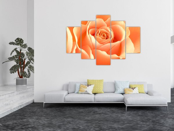 Kép - A Rózsák, barack színű (150x105 cm)