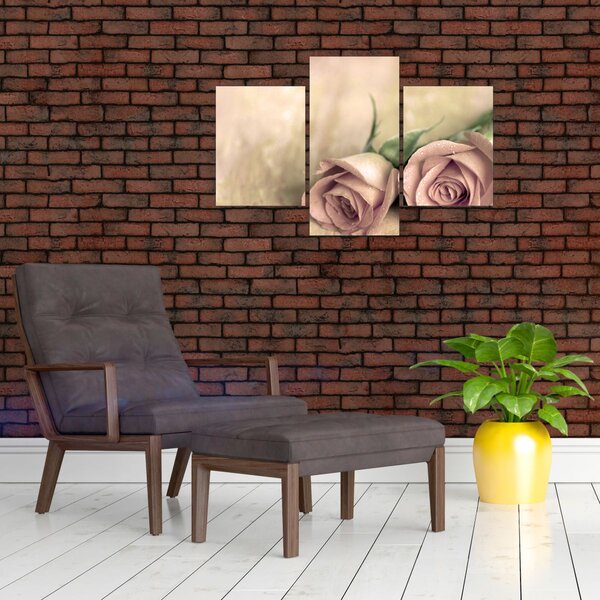 Kép - Finom rózsák (90x60 cm)