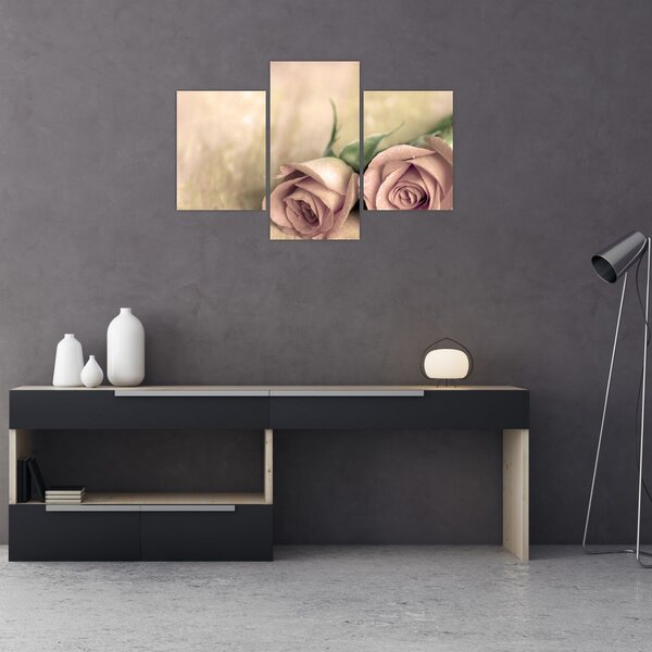 Kép - Finom rózsák (90x60 cm)