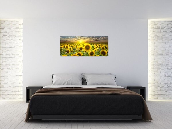 Kép - Napraforgók naplementében (120x50 cm)