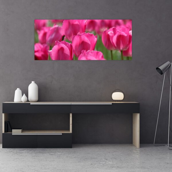 Kép - Rózsaszín tulipánok (120x50 cm)