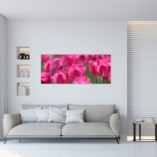 Kép - Rózsaszín tulipánok (120x50 cm)