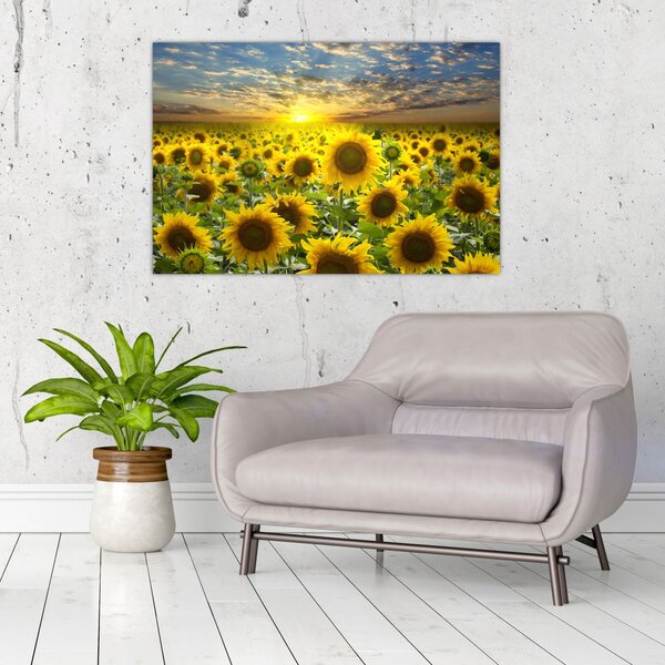 Kép - Napraforgók naplementében (90x60 cm)