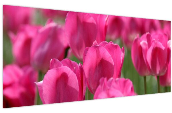 Kép - Rózsaszín tulipánok (120x50 cm)