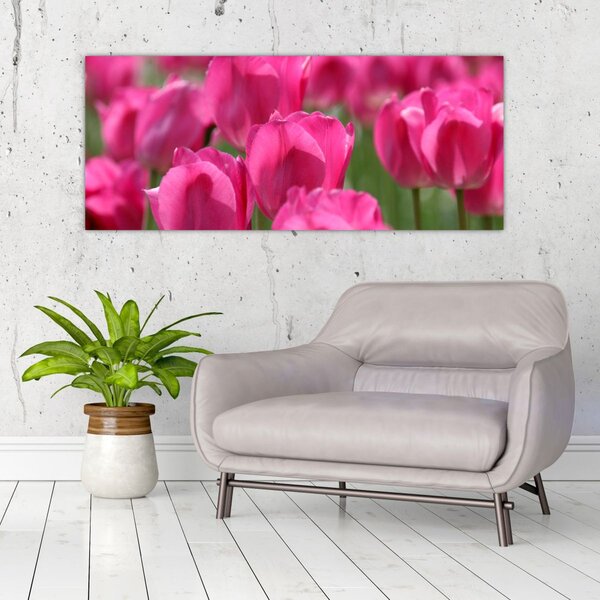 Kép - Rózsaszín tulipánok (120x50 cm)