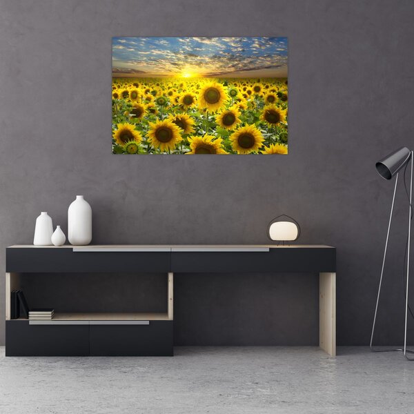 Kép - Napraforgók naplementében (90x60 cm)