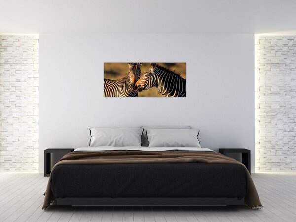 Kép - Két zebra (120x50 cm)