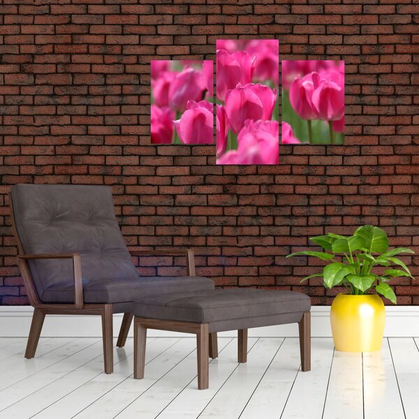 Kép - Rózsaszín tulipánok (90x60 cm)