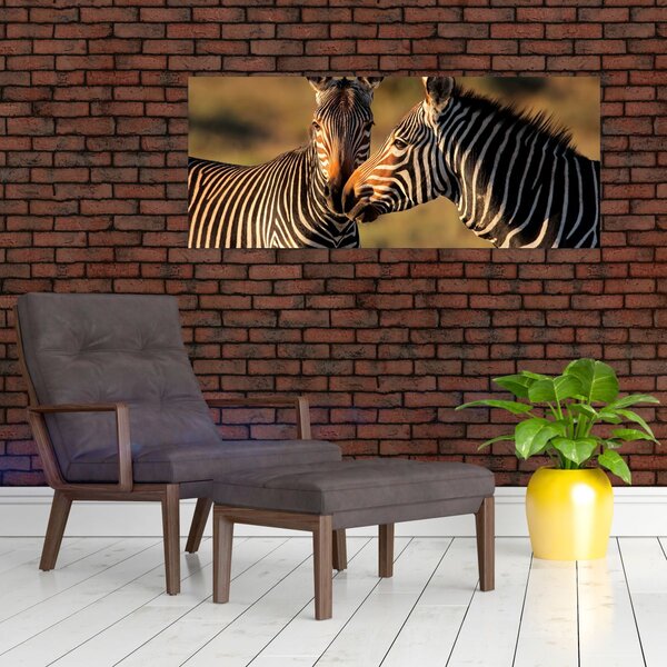 Kép - Két zebra (120x50 cm)