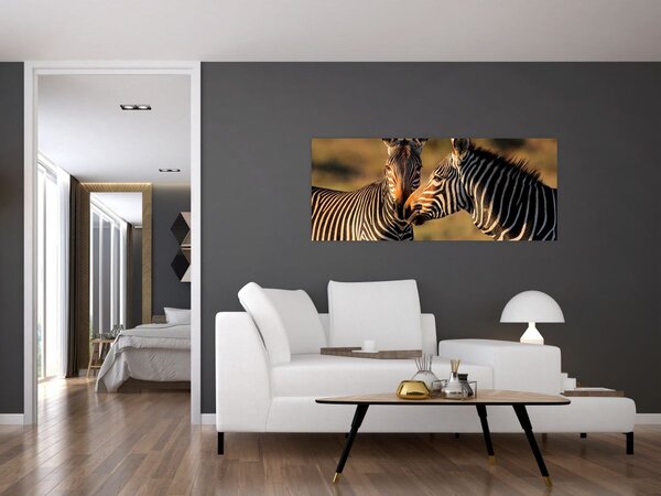 Kép - Két zebra (120x50 cm)
