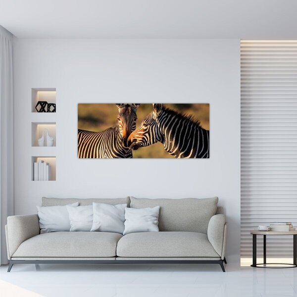 Kép - Két zebra (120x50 cm)