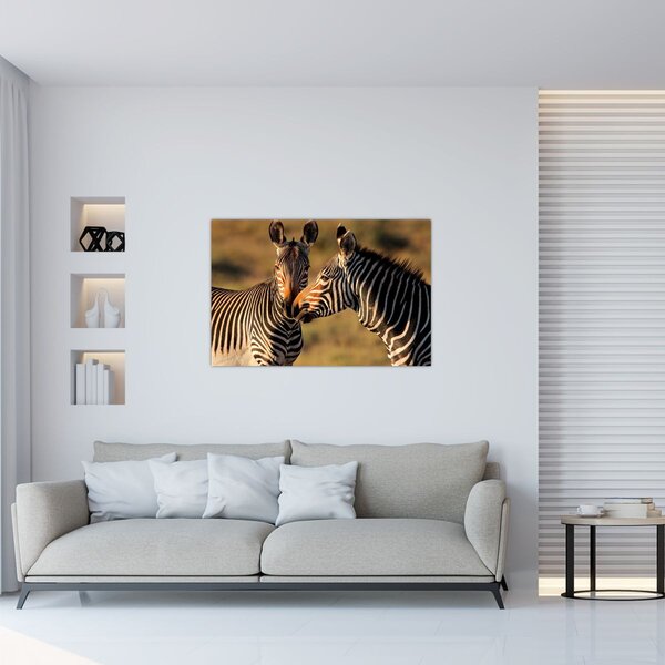 Kép - Két zebra (90x60 cm)