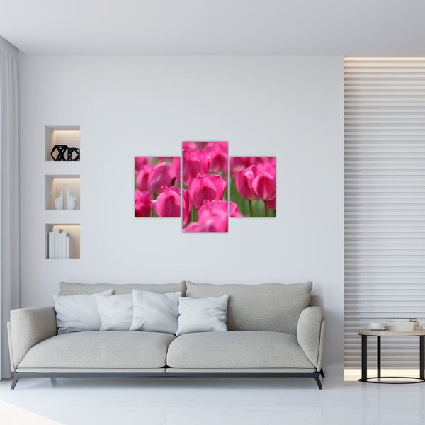 Kép - Rózsaszín tulipánok (90x60 cm)