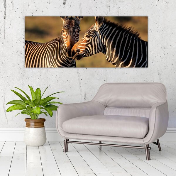 Kép - Két zebra (120x50 cm)