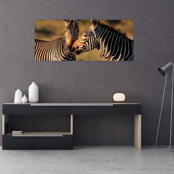 Kép - Két zebra (120x50 cm)