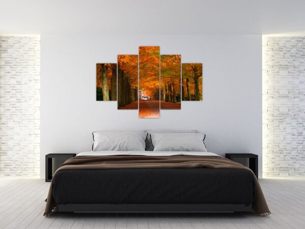 Kép - A Avenue of fák ősszel (150x105 cm)