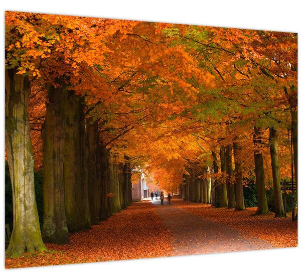 Kép - A Avenue of fák ősszel (70x50 cm)