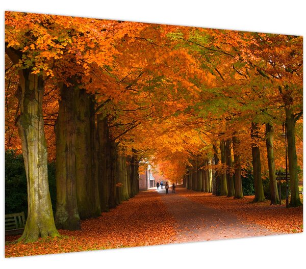 Kép - A Avenue of fák ősszel (90x60 cm)