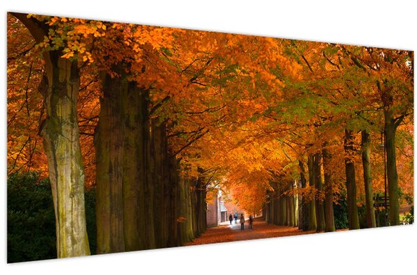 Kép - A Avenue of fák ősszel (120x50 cm)