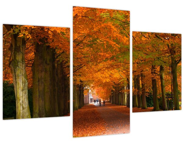 Kép - A Avenue of fák ősszel (90x60 cm)
