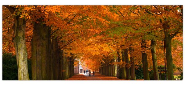 Kép - A Avenue of fák ősszel (120x50 cm)
