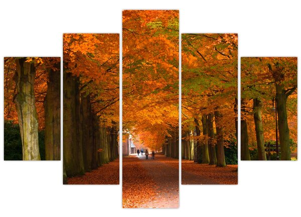Kép - A Avenue of fák ősszel (150x105 cm)