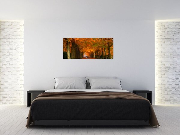 Kép - A Avenue of fák ősszel (120x50 cm)