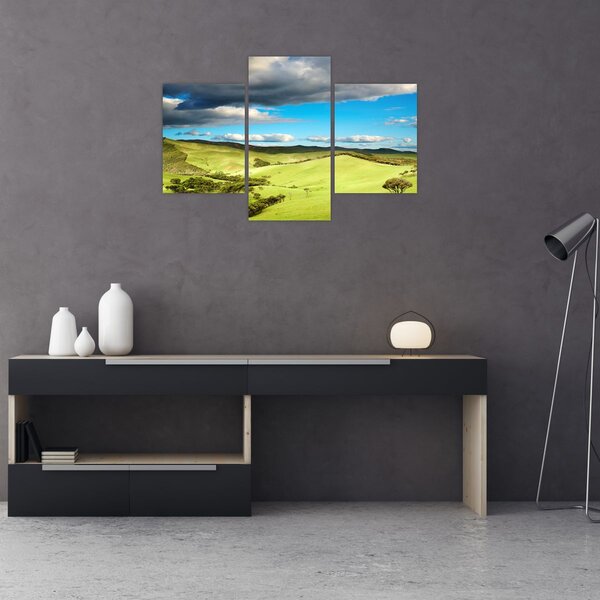 Kép - Zöld táj dombokkal (90x60 cm)