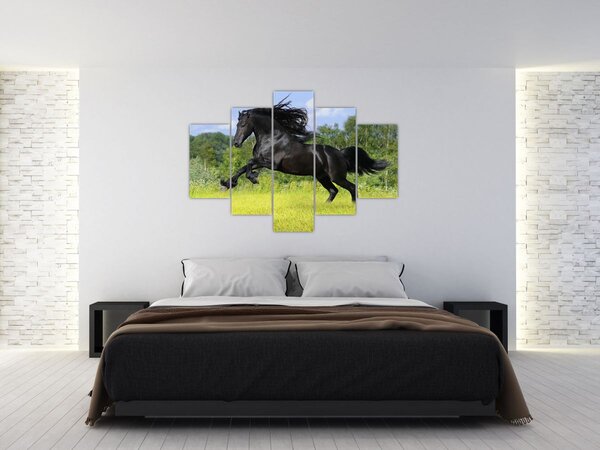 Kép - Ló hullámzó sörénnyel (150x105 cm)