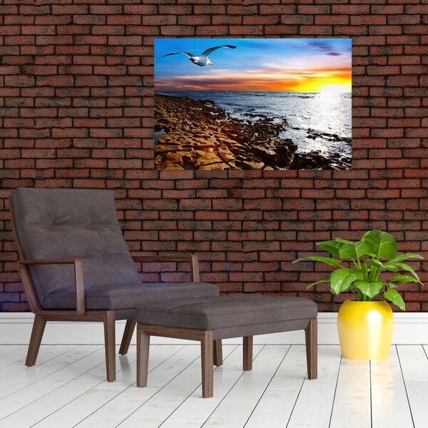 Kép - Sirály repül a tengerpart felett (90x60 cm)