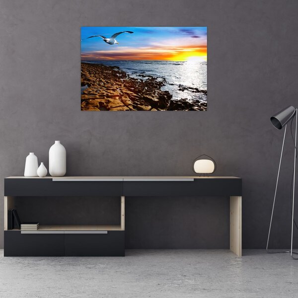 Kép - Sirály repül a tengerpart felett (90x60 cm)